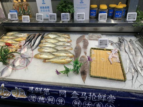 盒馬鮮生最新陳列美學(xué) 日用百貨銷售的藝術(shù)與策略